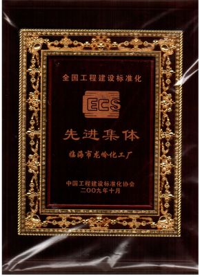 2009年全國(guó)工程建設(shè)標(biāo)準(zhǔn)化先進(jìn)集體